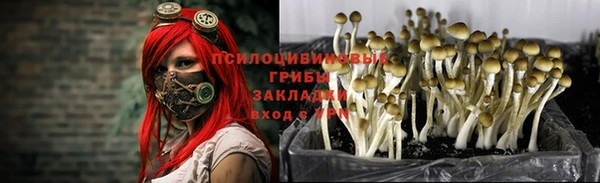 мдма Карталы