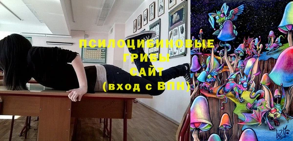 хмурый Касимов