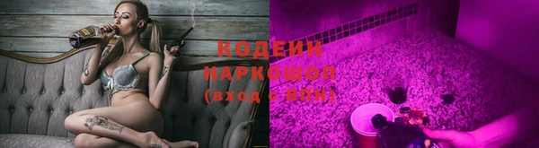 гашик Карпинск