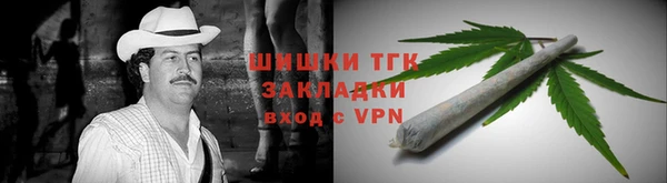 гашик Карпинск
