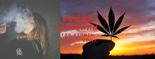 гашик Карпинск