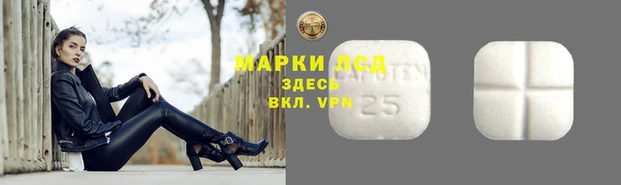 хмурый Касимов