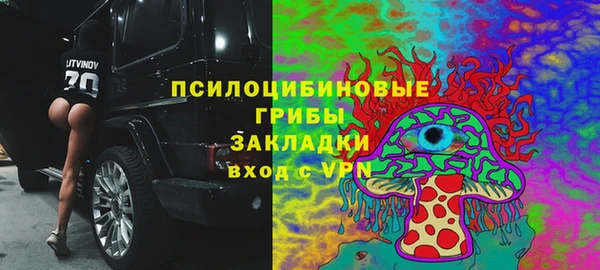 хмурый Касимов