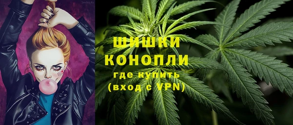 гашик Карпинск