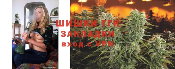 гашик Карпинск