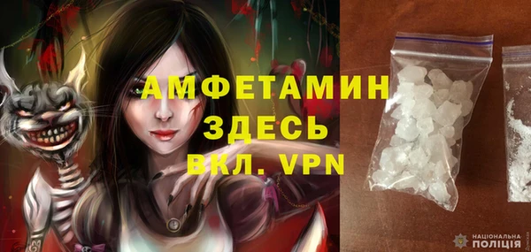 гашик Карпинск