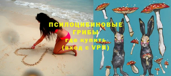 хмурый Касимов