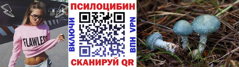 Галлюциногенные грибы MAGIC MUSHROOMS  Купить закладки  Катав-Ивановск 